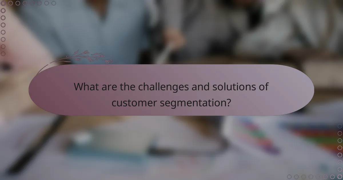 What are the challenges and solutions of customer segmentation?