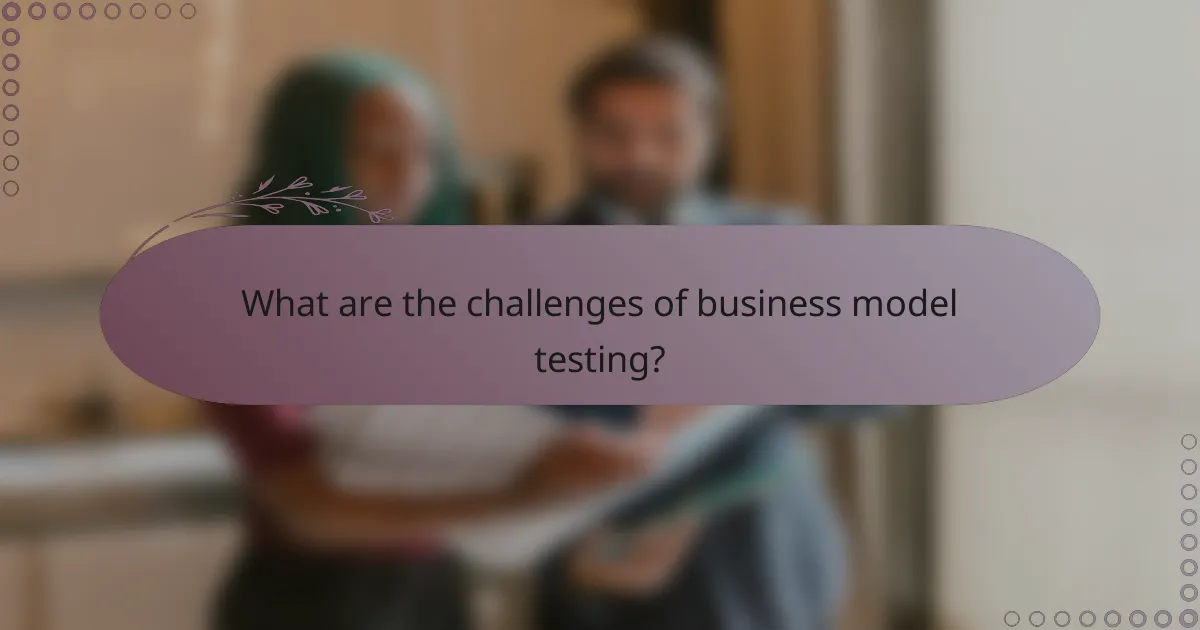 What are the challenges of business model testing?