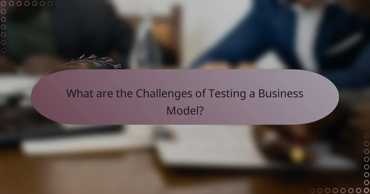 What are the Challenges of Testing a Business Model?