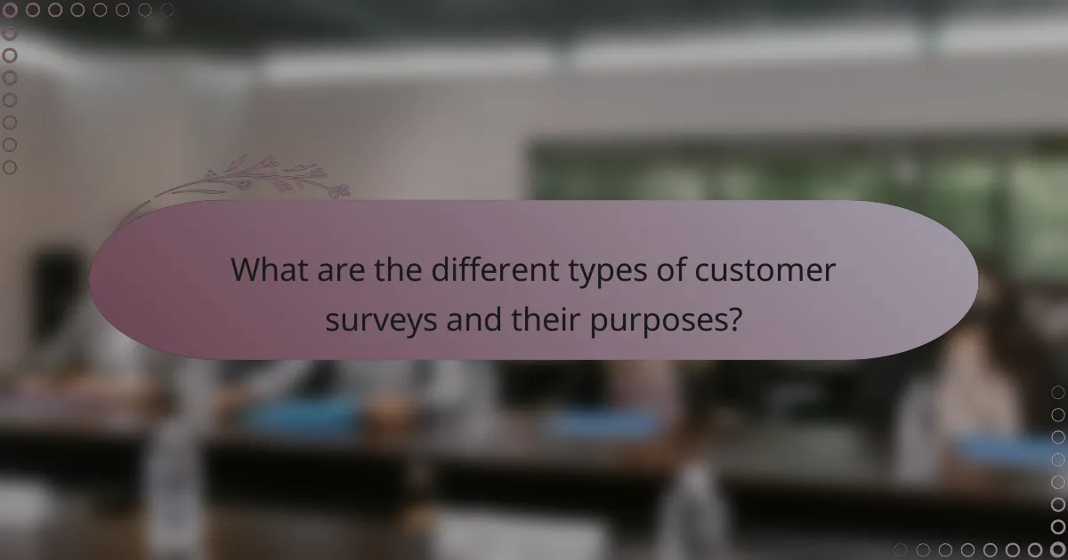 What are the different types of customer surveys and their purposes?