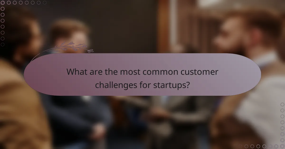 What are the most common customer challenges for startups?
